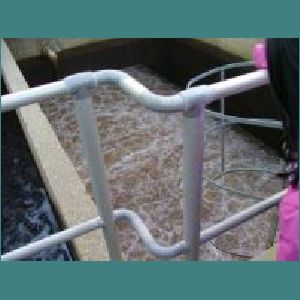 Water plant 009.jpg
